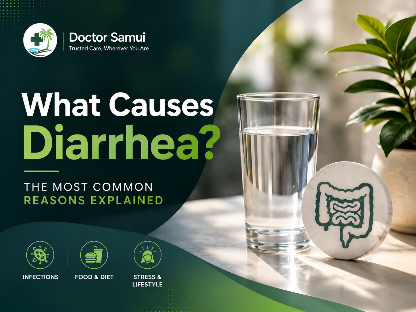 What Causes Diarrhea? The Most Common Reasons Explained