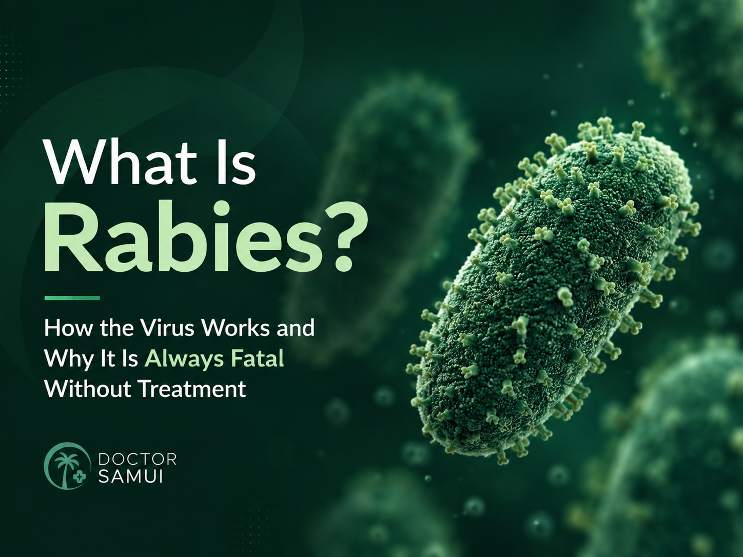 What Is Rabies? How the Virus Works and Why It Is Always Fatal Without Treatment